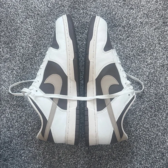 Men’s Nike Dunk Mocha - Next Nature Summit White Baroque Brown